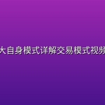 鹤老大自身模式详解交易模式视频课程