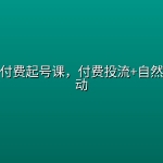 抖音全域付费起号课，付费投流+自然流量双驱动