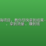 AI编程出海项目，教你尽快拿到结果–做出网站、拿到流量 、賺到钱