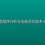 看雪- 恶意程序分析与高级对抗技术-Windows
