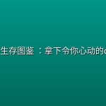 职场生存图鉴 ：拿下令你心动的offer