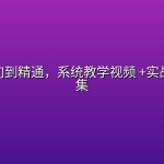 围棋入门到精通，系统教学视频 +实战技巧全集
