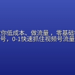 王老师教你低成本、做流量 ，零基础学做视频号，0-1快速抓住视频号流量