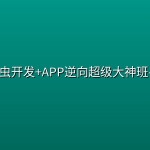 🕷️ 【路飞学城】爬虫开发+APP逆向超级大神班-01期