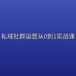 私域社群运营从0到1实战课