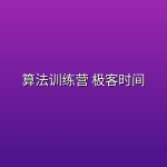 算法训练营 极客时间