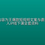 2026年内容为王爆款短视频文案与直播茂隆个人IP线下课全套资料