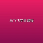 马飞飞学员课程