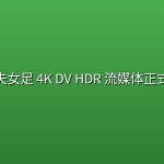 功夫女足 4K DV HDR 流媒体正式版