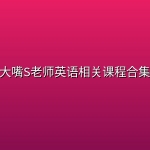 大嘴S老师英语相关课程合集
