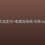 慕课网- 实战支付+电商双系统 玩转Java技术栈