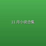 11 月小说合集