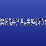 小红书爆款起号实战课：平台算法与起号逻辑，选题制作运营，打造高变现个人IP账号