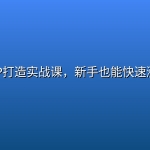 小红书IP打造实战课，新手也能快速涨粉变现