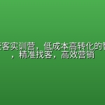 AI全域获客实训营，低成本高转化的智能营销，精准找客，高效营销