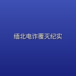 缅北电诈覆灭纪实 (2026)【全3集】【1080P高码】