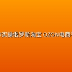 带你实操俄罗斯淘宝 OZON电商平台
