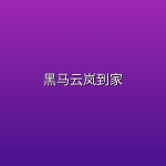 黑马云岚到家
