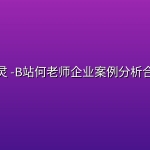 图灵 -B站何老师企业案例分析合集