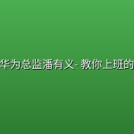 前华为总监潘有义【职场实战课】- 教你上班的课【 完结】