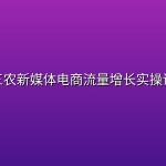三农新媒体电商流量增长实操课