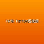 TK伟·TIKTOK短视频