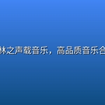 柏林之声载音乐，高品质音乐合集