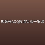 视频号ADQ投流实战干货课