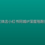 大毛实体店小红书同城IP深度陪跑实操课