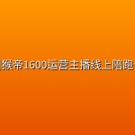 🛍️【运营】猴帝1600运营主播线上陪跑课【2026年9月最新版】