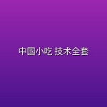中国小吃 技术全套