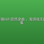 车载试音碟HiFi音质金曲 ，发烧级无损音乐合集