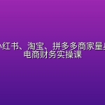 抖音、小红书、淘宝、拼多多商家量身定制的电商财务实操课