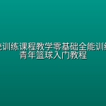 篮球系统训练课程教学零基础全能训练课少儿青年篮球入门教程