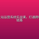 海外独立站运营系统实战课，打通跨境增长全链路