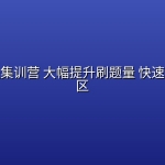 小白算法集训营 大幅提升刷题量 快速逃离新手区