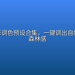 森系摄影调色预设合集，一键调出自然通透的森林感