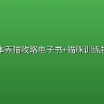 11本养猫攻略电子书+猫咪训练视频