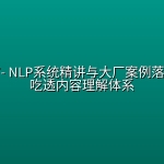 mksz767- NLP系统精讲与大厂案例落地实战，吃透内容理解体系