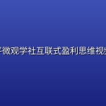 陈平微观学社互联式盈利思维视频课