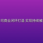 一人公司商业闭环打造 实现持续被动收入