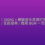 全网绝迹！2000G + 稀缺音乐资源打包 ，90 后神专 / 无损母带 / 商用 BGM 一次带走