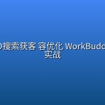 企业GEO搜索获客 容优化 WorkBuddy全流程实战