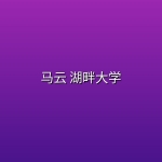 马云 湖畔大学 【 绝版视频】
