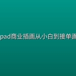 🎨【麦刻风】Ipad商业插画从小白到接单画手