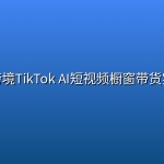 绿洲跨境TikTok AI短视频橱窗带货实战课