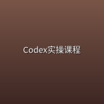 Codex实操课程