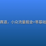 单身经济赛道，小众流量掘金+零基础也能上手