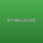 郑京课程 5合1全套