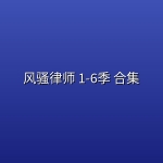 风骚律师 1-6季 合集【4K | 蓝光REMUX】【中英双语字幕】